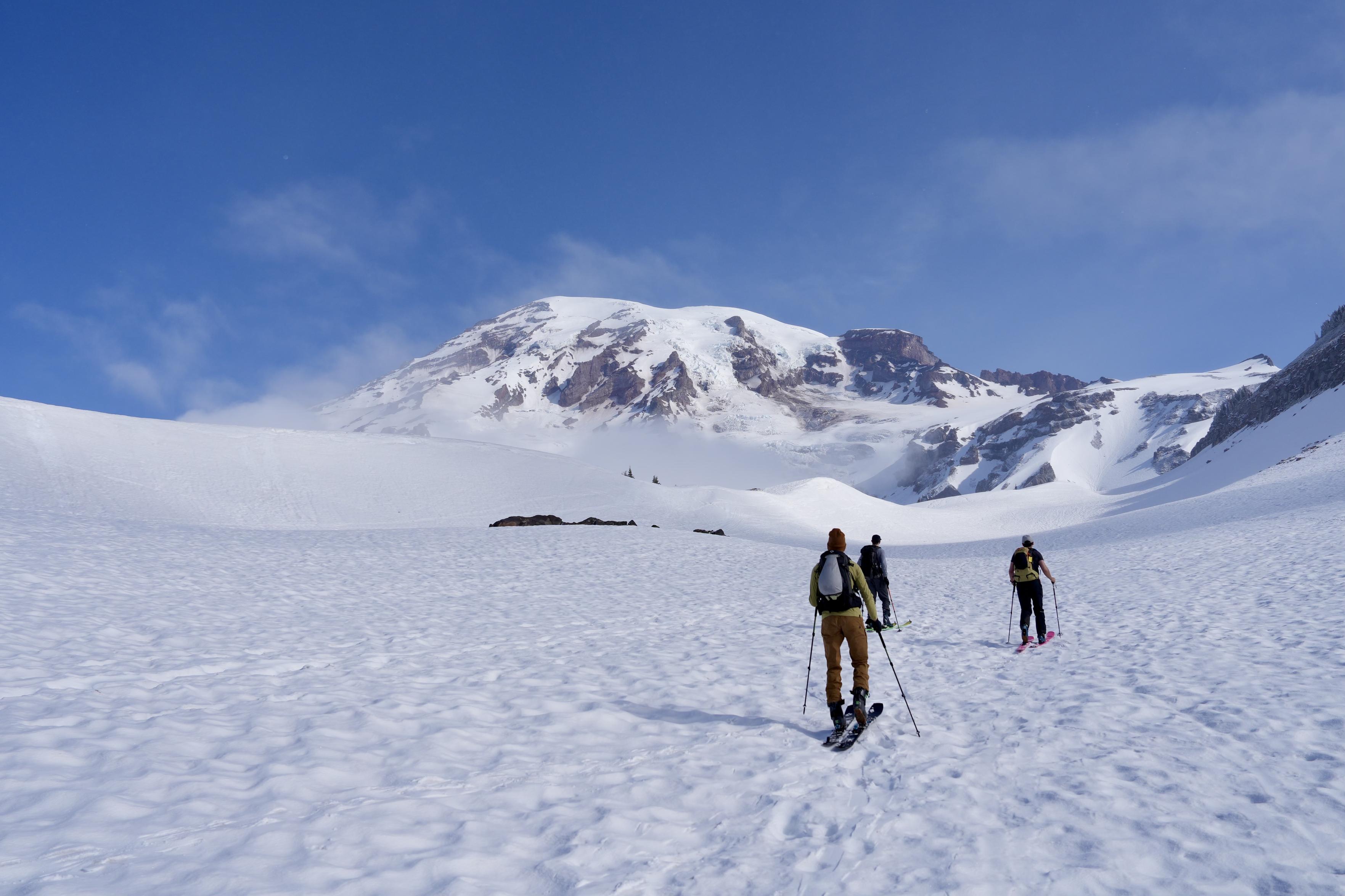 View from around Glacier Vista looking up towards the summit of Mount Rainier. The mountain in the distance and the immediate terrain is almost completely covered in snow except for steep rocky areas. The sky is bright blue except for some thin wispy clouds. Three skiers skinning upwards are in the foreground.